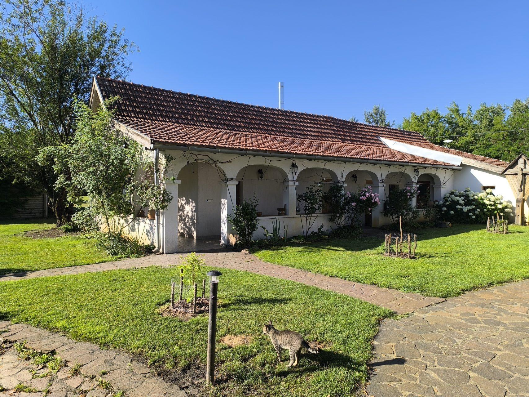 Traditional Hungarian farmhouse facade with whitewashed arches and blooming roses