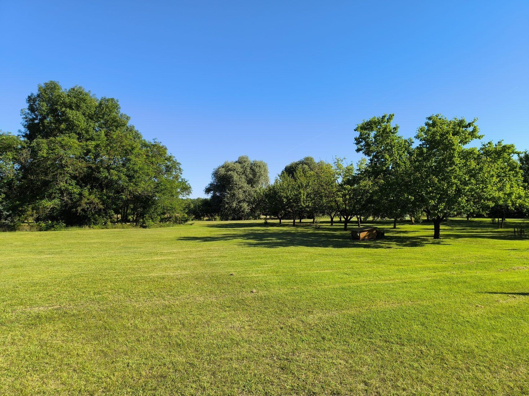 The vast green grounds with mature walnut and fruit trees