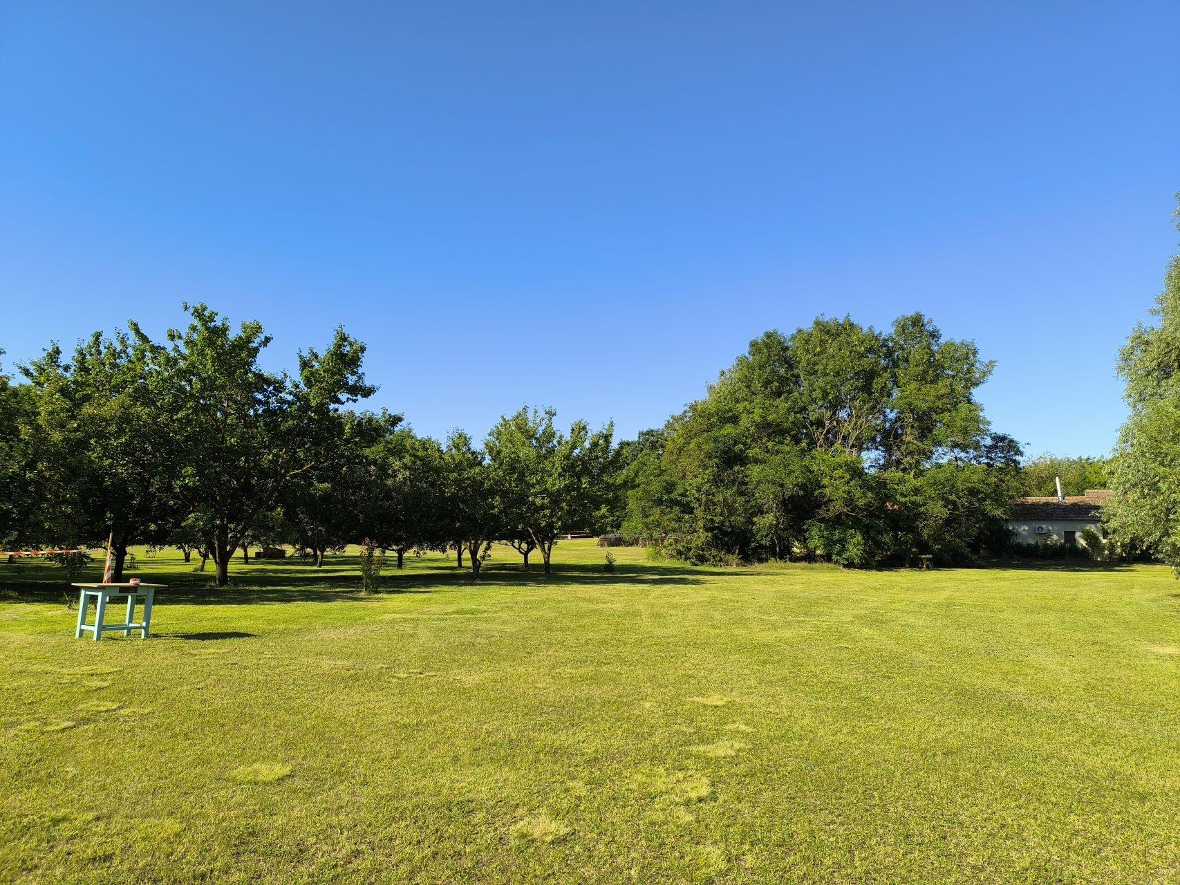 Panoramic view of the park stretching to the tree line