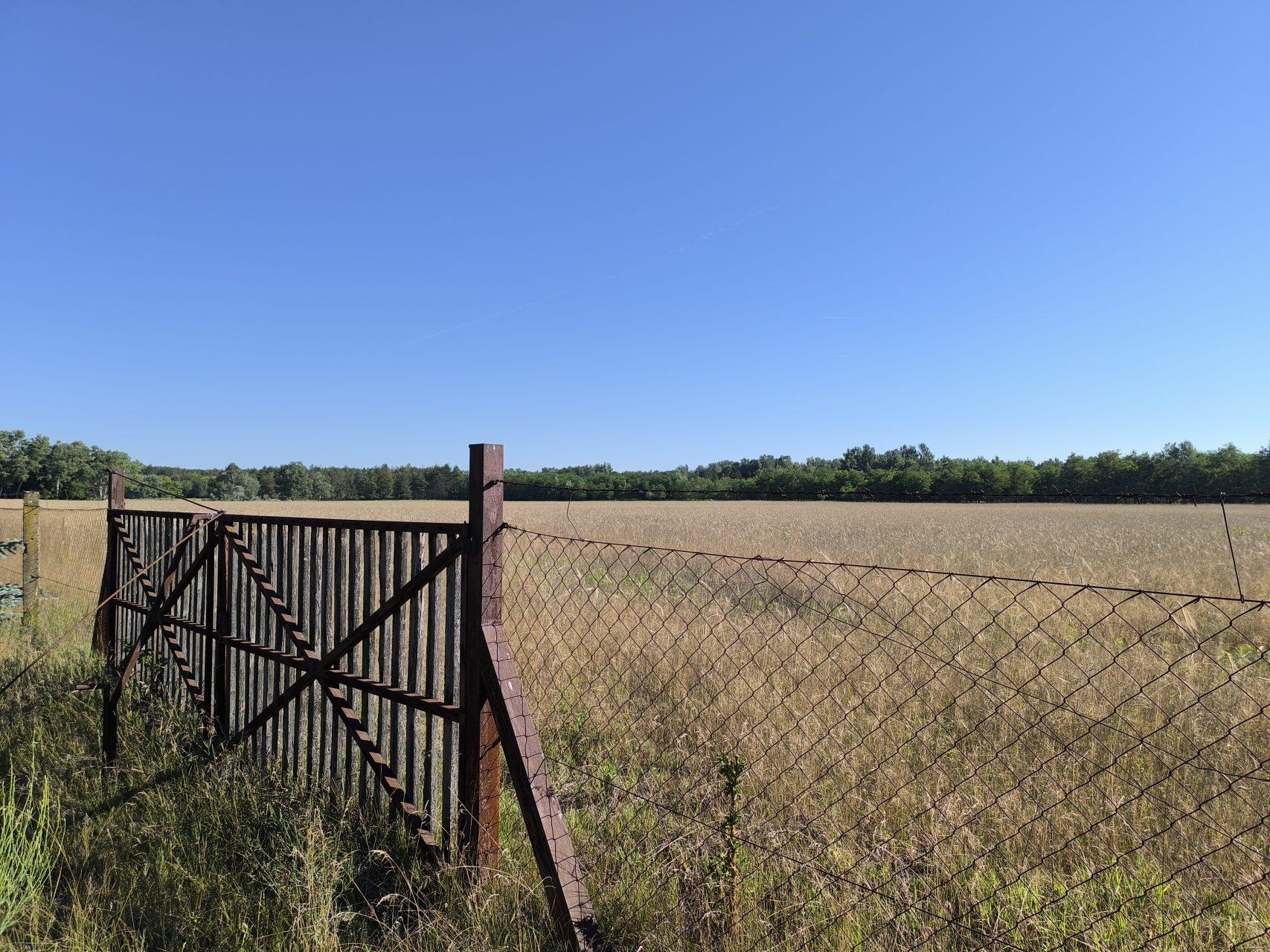 View across the open Hungarian countryside from the property border