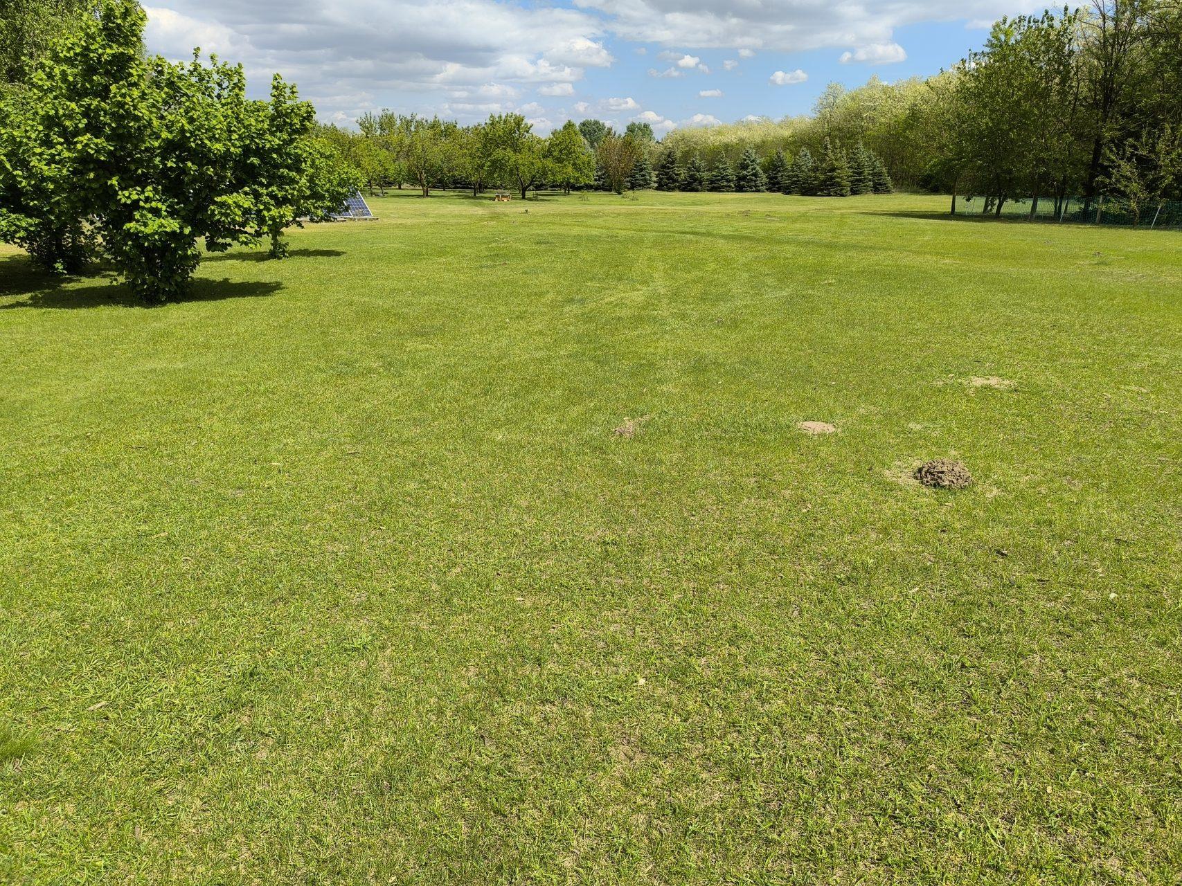 Endless green space to explore and enjoy