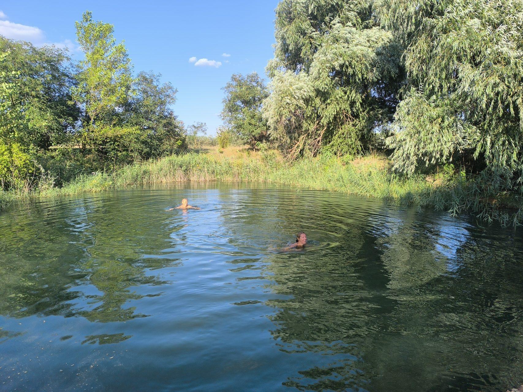 Swimming in the spacious natural pond on a warm summer day