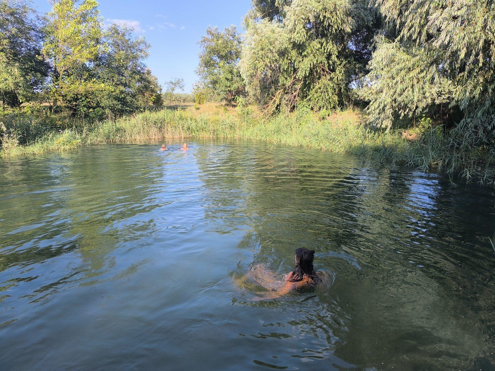 Even the dogs love a swim in the natural pond