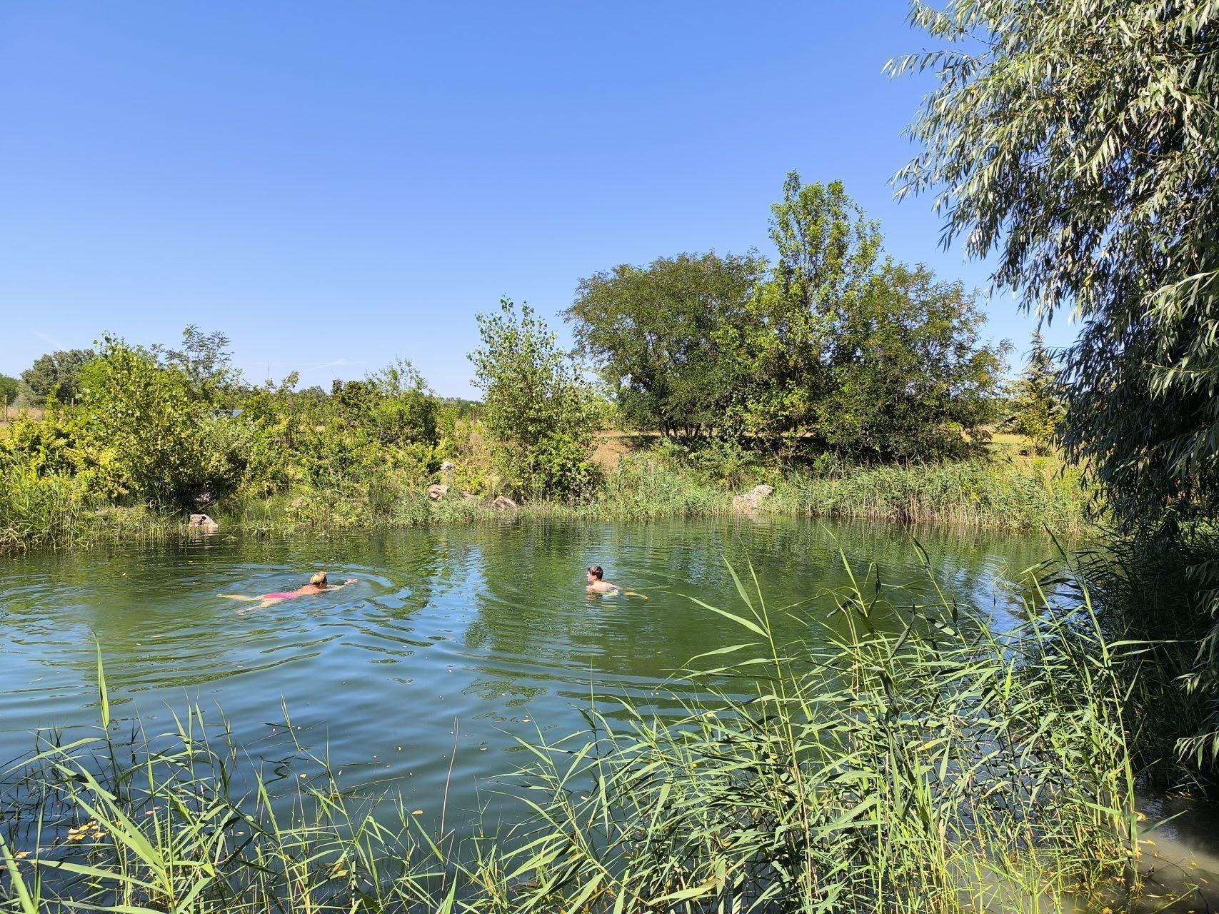 A refreshing swim in the crystal-clear natural pond surrounded by reeds